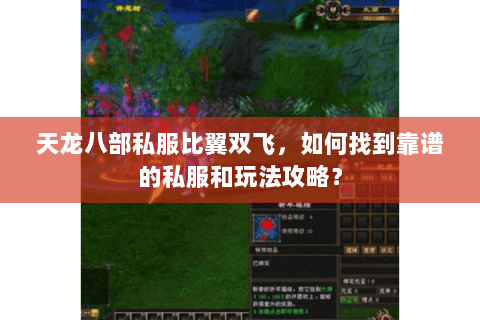 天龙八部私服比翼双飞，如何找到靠谱的私服和玩法攻略？