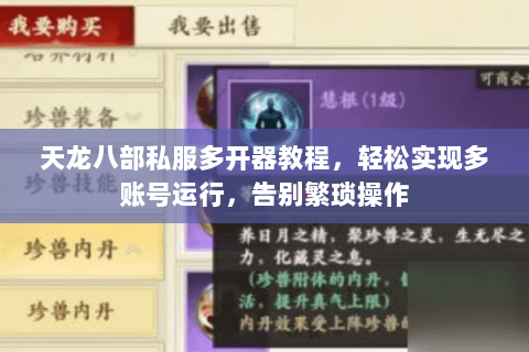 天龙八部私服多开器教程，轻松实现多账号运行，告别繁琐操作