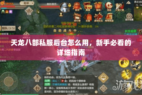 天龙八部私服后台怎么用，新手必看的详细指南