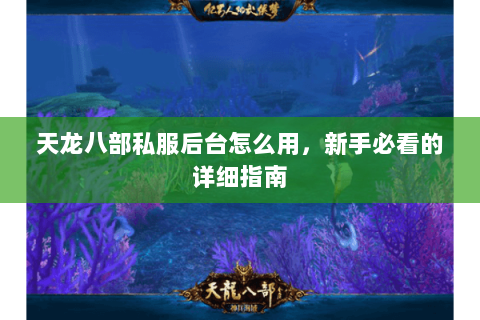 天龙八部私服后台怎么用，新手必看的详细指南