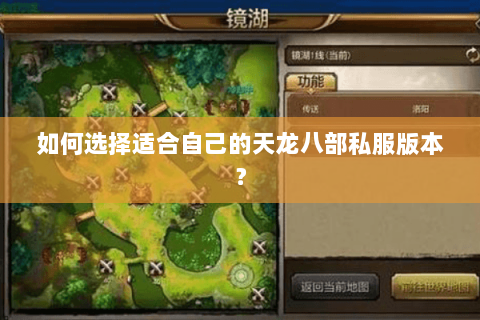 如何选择适合自己的天龙八部私服版本？
