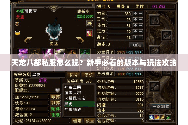 天龙八部私服怎么玩？新手必看的版本与玩法攻略