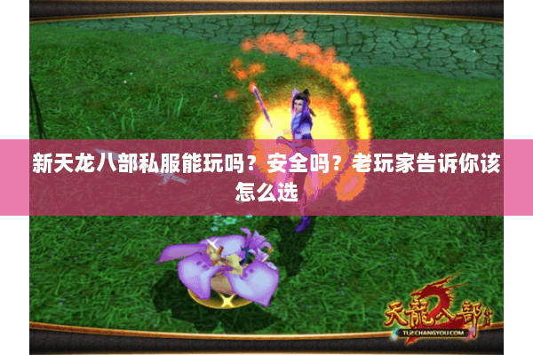新天龙八部私服能玩吗？安全吗？老玩家告诉你该怎么选
