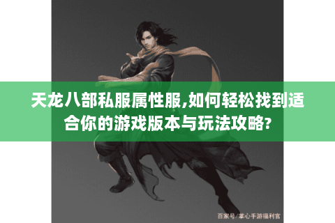 天龙八部私服属性服,如何轻松找到适合你的游戏版本与玩法攻略?