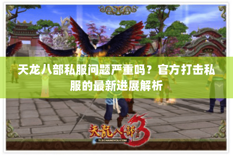 天龙八部私服问题严重吗？官方打击私服的最新进展解析