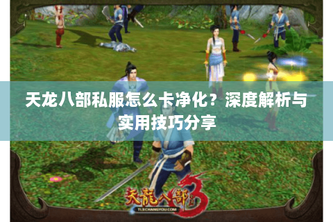 天龙八部私服怎么卡净化？深度解析与实用技巧分享