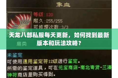 天龙八部私服每天更新，如何找到最新版本和玩法攻略？
