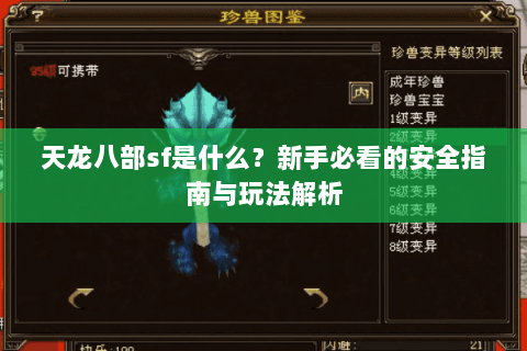 天龙八部sf是什么？新手必看的安全指南与玩法解析