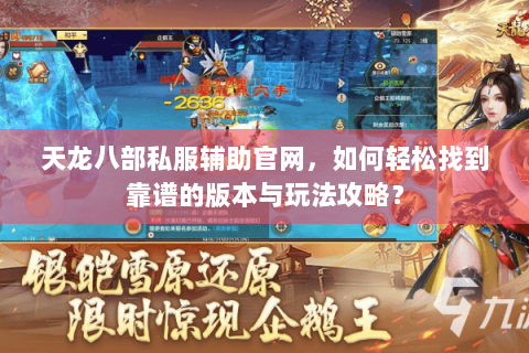 天龙八部私服辅助官网，如何轻松找到靠谱的版本与玩法攻略？