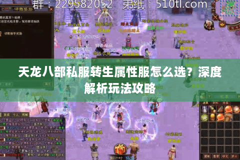 天龙八部私服转生属性服怎么选？深度解析玩法攻略
