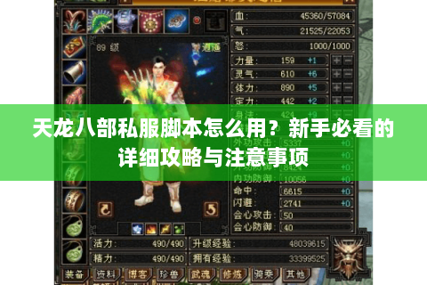 天龙八部私服脚本怎么用？新手必看的详细攻略与注意事项