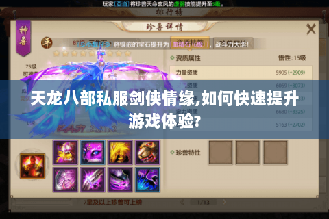 天龙八部私服剑侠情缘，如何快速提升游戏体验？