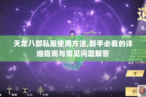 天龙八部私服使用方法,新手必看的详细指南与常见问题解答