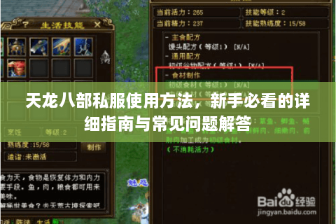 天龙八部私服使用方法，新手必看的详细指南与常见问题解答