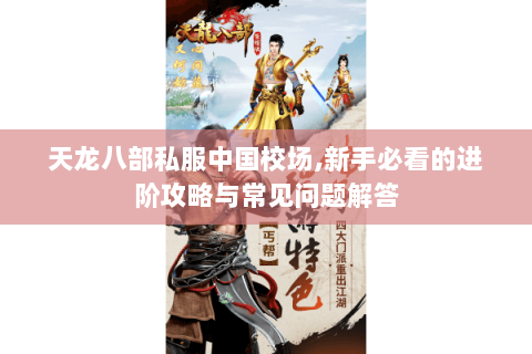 天龙八部私服中国校场,新手必看的进阶攻略与常见问题解答
