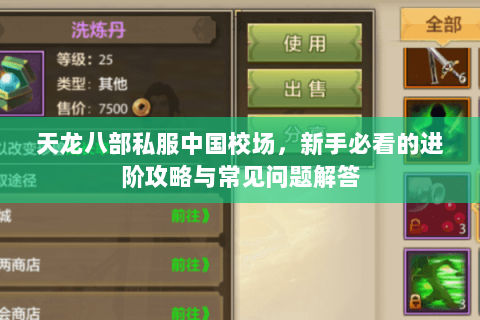 天龙八部私服中国校场，新手必看的进阶攻略与常见问题解答
