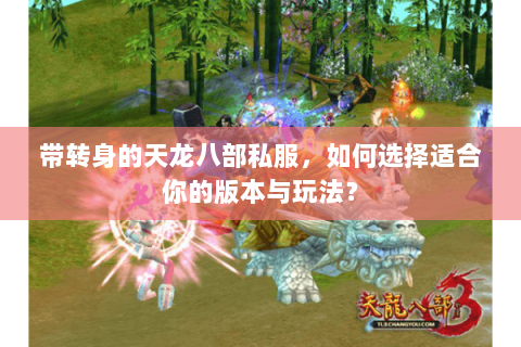 带转身的天龙八部私服，如何选择适合你的版本与玩法？