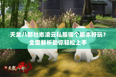 天龙八部壮志凌云私服哪个版本好玩？全面解析助你轻松上手