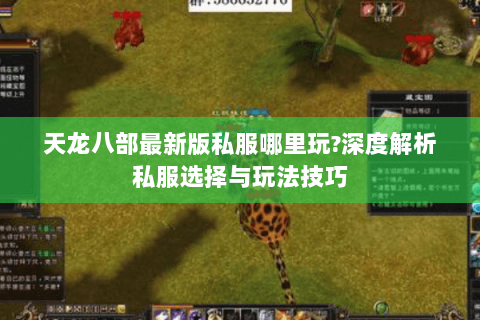 天龙八部最新版私服哪里玩?深度解析私服选择与玩法技巧