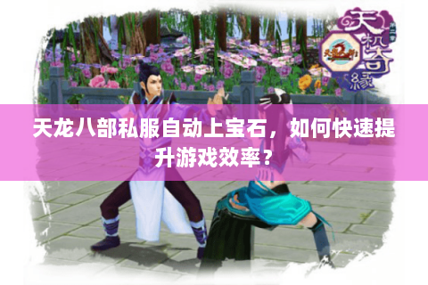 天龙八部私服自动上宝石，如何快速提升游戏效率？