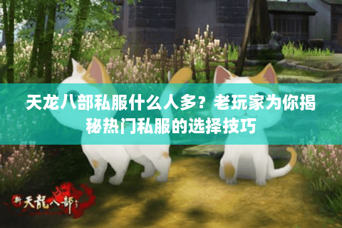 天龙八部私服什么人多？老玩家为你揭秘热门私服的选择技巧