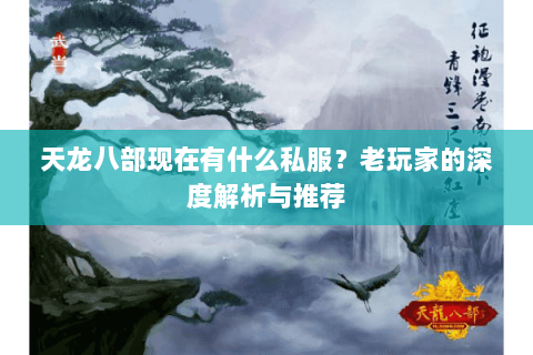 天龙八部现在有什么私服？老玩家的深度解析与推荐