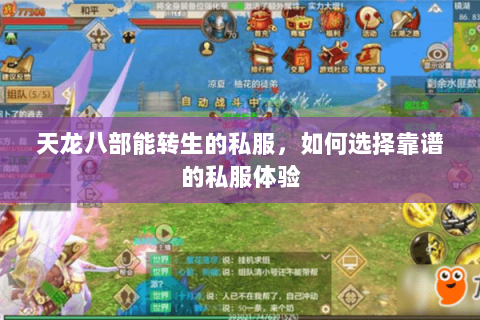 天龙八部能转生的私服，如何选择靠谱的私服体验