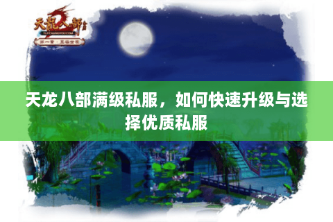 天龙八部满级私服，如何快速升级与选择优质私服