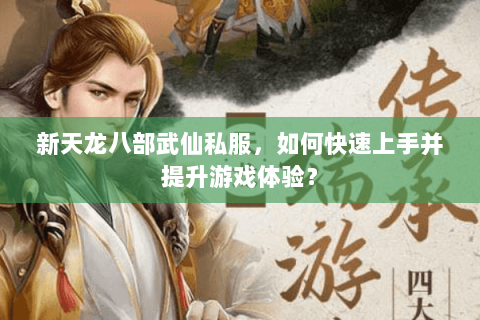 新天龙八部武仙私服，如何快速上手并提升游戏体验？