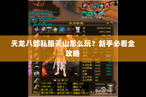 天龙八部私服天山怎么玩？新手必看全攻略