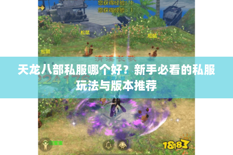 天龙八部私服哪个好？新手必看的私服玩法与版本推荐