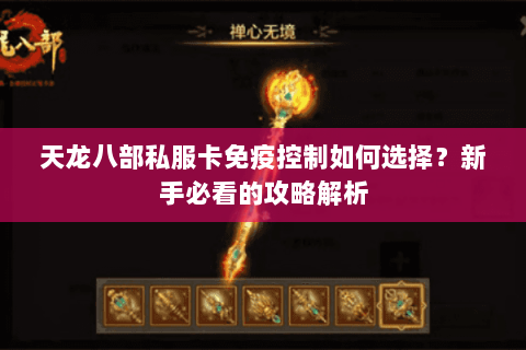 天龙八部私服卡免疫控制如何选择？新手必看的攻略解析