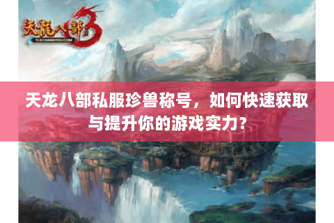 天龙八部私服珍兽称号，如何快速获取与提升你的游戏实力？