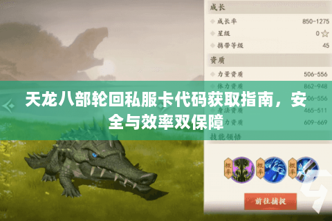 天龙八部轮回私服卡代码获取指南，安全与效率双保障