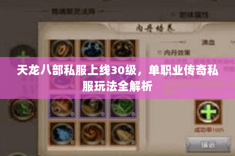 天龙八部私服上线30级，单职业传奇私服玩法全解析