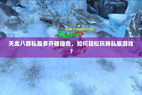 天龙八部私服多开器绿色，如何轻松玩转私服游戏？