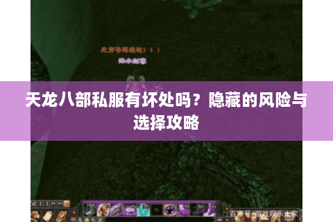 天龙八部私服有坏处吗？隐藏的风险与选择攻略