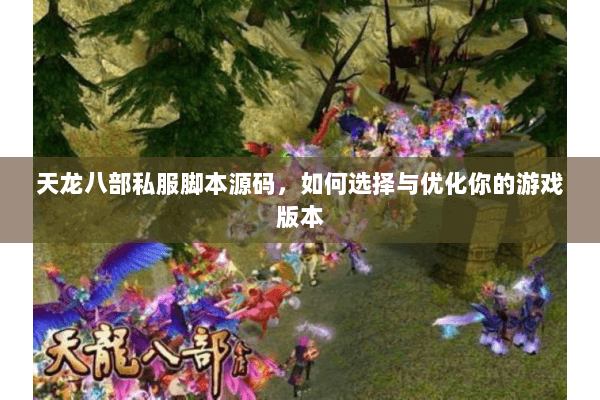 天龙八部私服脚本源码，如何选择与优化你的游戏版本