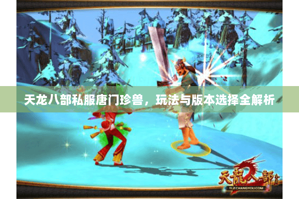 天龙八部私服唐门珍兽，玩法与版本选择全解析
