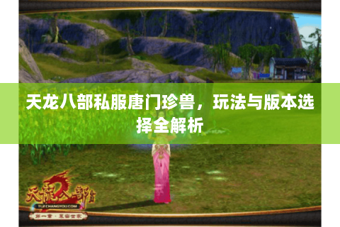 天龙八部私服唐门珍兽，玩法与版本选择全解析