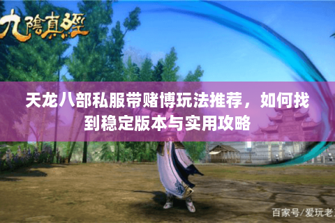 天龙八部私服带赌博玩法推荐，如何找到稳定版本与实用攻略