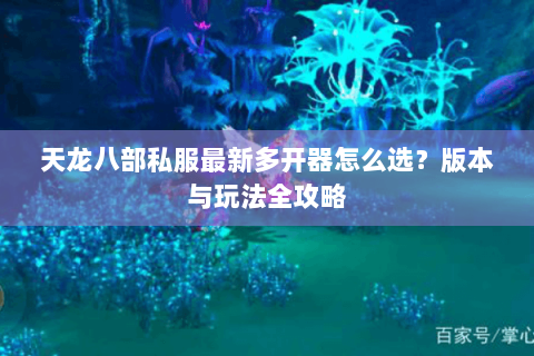 天龙八部私服最新多开器怎么选？版本与玩法全攻略