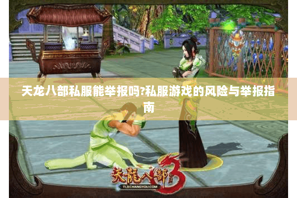 天龙八部私服能举报吗?私服游戏的风险与举报指南