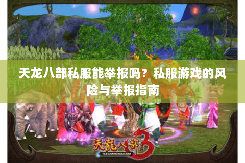 天龙八部私服能举报吗？私服游戏的风险与举报指南