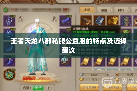 王者天龙八部私服公益服的特点及选择建议