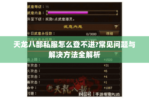 天龙八部私服怎么登不进?常见问题与解决方法全解析