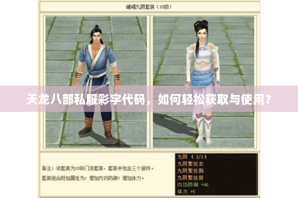 天龙八部私服彩字代码，如何轻松获取与使用？