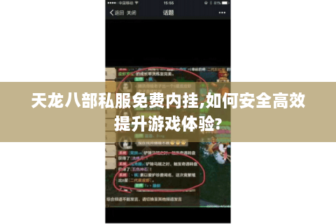 天龙八部私服免费内挂,如何安全高效提升游戏体验?