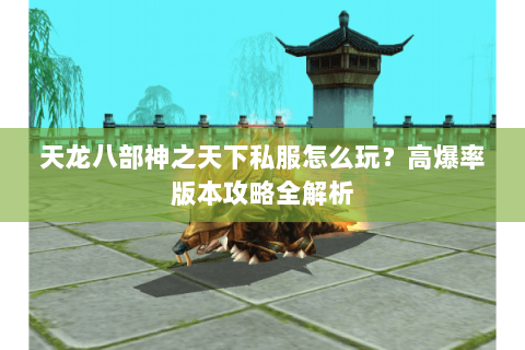 天龙八部神之天下私服怎么玩？高爆率版本攻略全解析