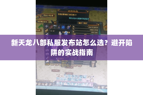 新天龙八部私服发布站怎么选？避开陷阱的实战指南